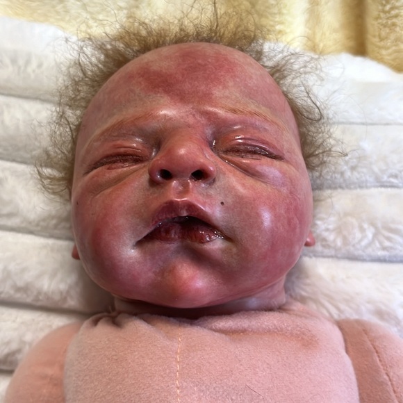 Beautiful reborn doll. Feels so realistic. Soft hair and articulated head/limbs. - Picture 10 of 16